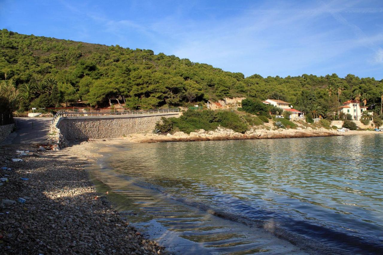 Apartments By The Sea Milna, Vis - 8896 Exteriér fotografie